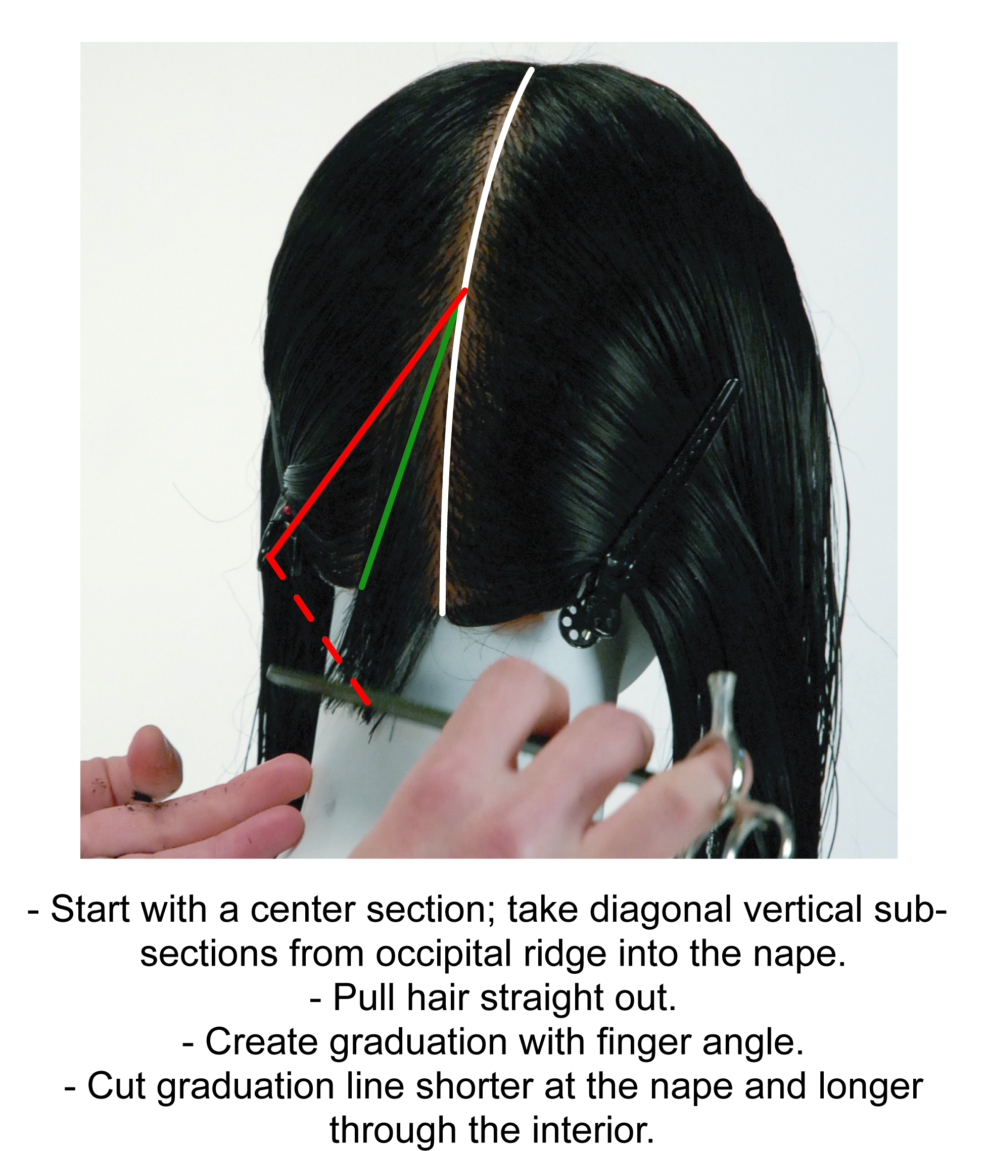 the graduated bob step by step theFactory