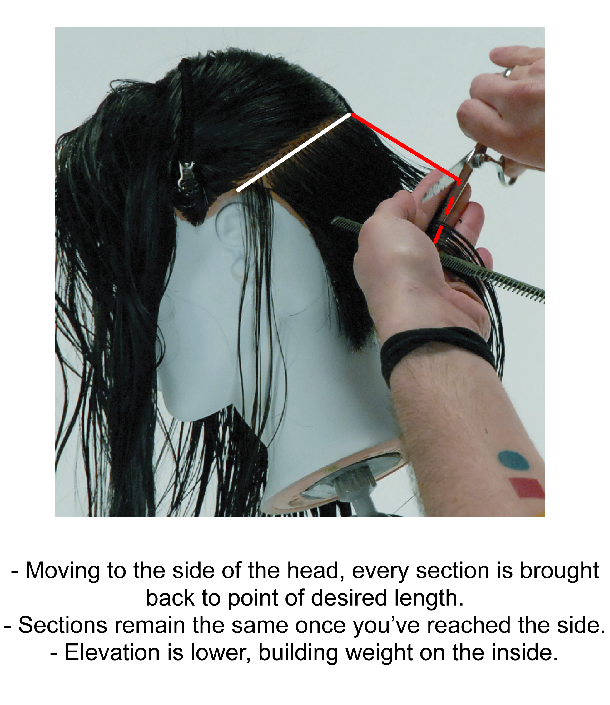 the graduated bob step by step theFactory